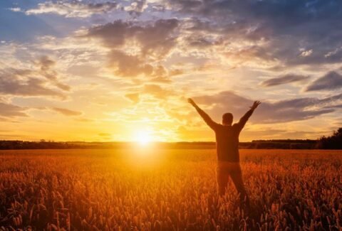 a3a70c11be84472feede7a5327d93314